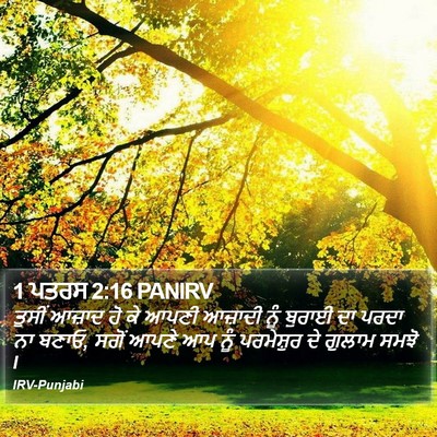1 ਪਤਰਸ 2:16 PANIRV Bible Verse Image
