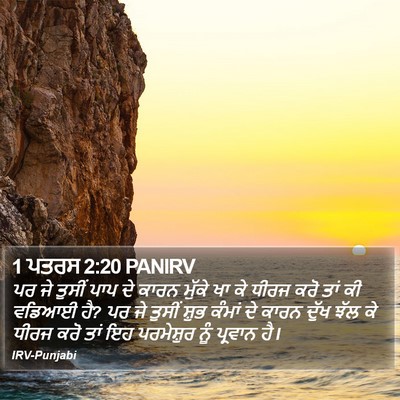 1 ਪਤਰਸ 2:20 PANIRV Bible Verse Image