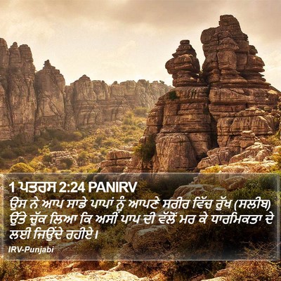 1 ਪਤਰਸ 2:24 PANIRV Bible Verse Image