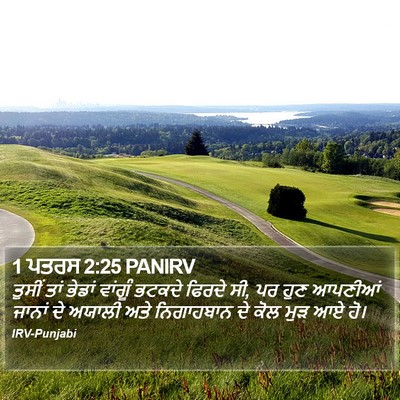 1 ਪਤਰਸ 2:25 PANIRV Bible Verse Image