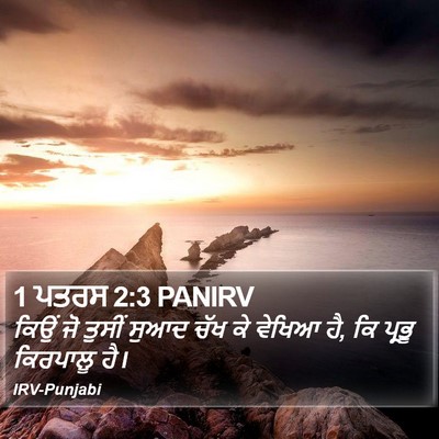 1 ਪਤਰਸ 2:3 PANIRV Bible Verse Image