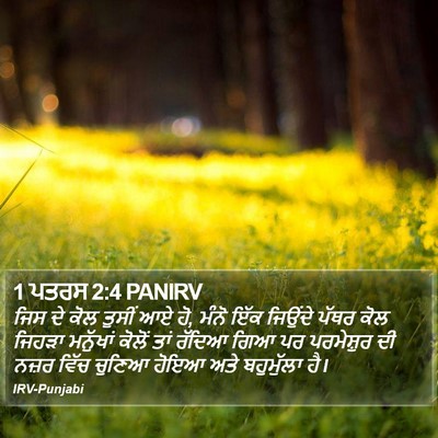 1 ਪਤਰਸ 2:4 PANIRV Bible Verse Image