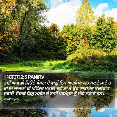 1 ਪਤਰਸ 2:5 PANIRV Bible Verse Image