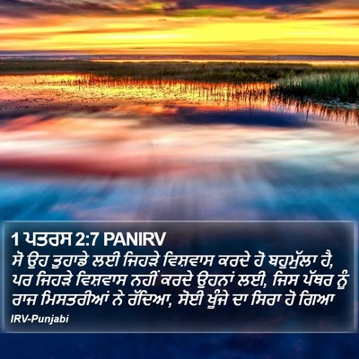 1 ਪਤਰਸ 2:7 PANIRV Bible Verse Image