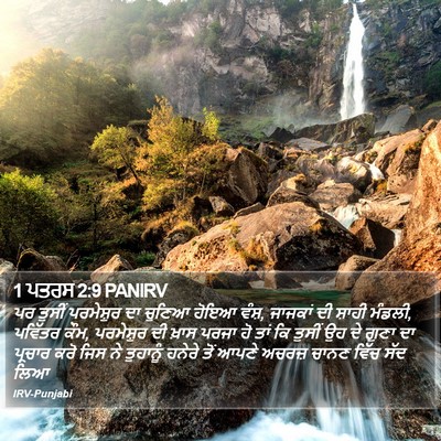 1 ਪਤਰਸ 2:9 PANIRV Bible Verse Image