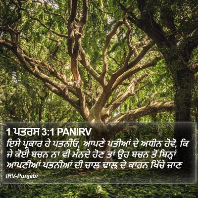 1 ਪਤਰਸ 3:1 PANIRV Bible Verse Image