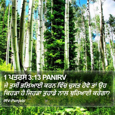 1 ਪਤਰਸ 3:13 PANIRV Bible Verse Image