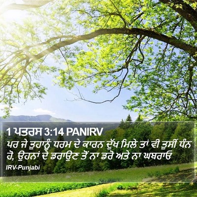 1 ਪਤਰਸ 3:14 PANIRV Bible Verse Image