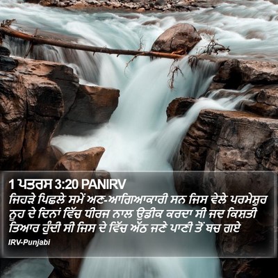 1 ਪਤਰਸ 3:20 PANIRV Bible Verse Image