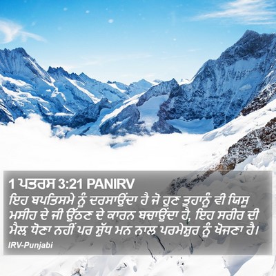 1 ਪਤਰਸ 3:21 PANIRV Bible Verse Image