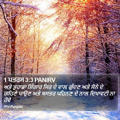 1 ਪਤਰਸ 3:3 PANIRV Bible Verse Image