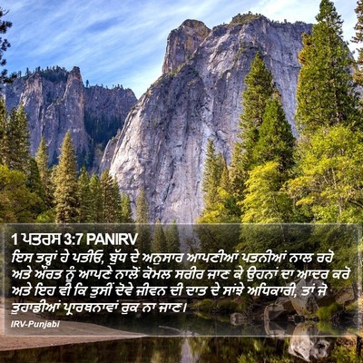 1 ਪਤਰਸ 3:7 PANIRV Bible Verse Image