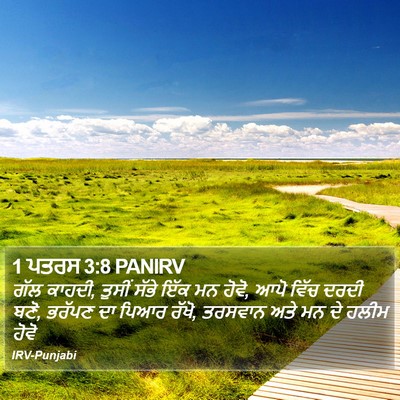 1 ਪਤਰਸ 3:8 PANIRV Bible Verse Image