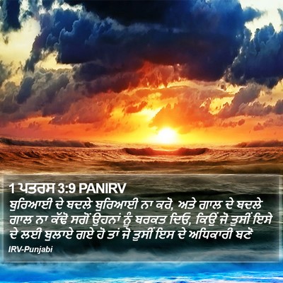 1 ਪਤਰਸ 3:9 PANIRV Bible Verse Image