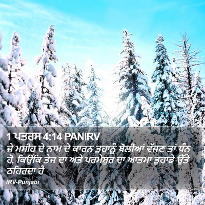 1 ਪਤਰਸ 4:14 PANIRV Bible Verse Image