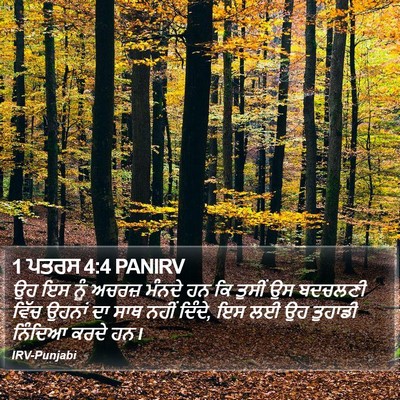 1 ਪਤਰਸ 4:4 PANIRV Bible Verse Image