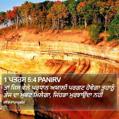 1 ਪਤਰਸ 5:4 PANIRV Bible Verse Image
