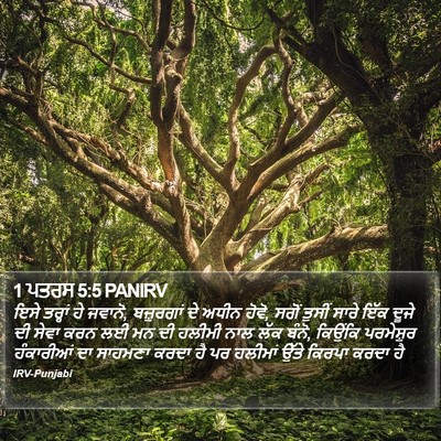 1 ਪਤਰਸ 5:5 PANIRV Bible Verse Image