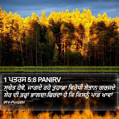 1 ਪਤਰਸ 5:8 PANIRV Bible Verse Image