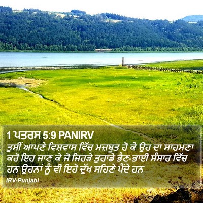 1 ਪਤਰਸ 5:9 PANIRV Bible Verse Image