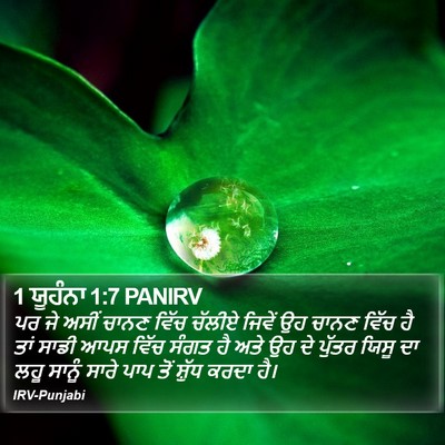 1 ਯੂਹੰਨਾ 1:7 PANIRV Bible Verse Image