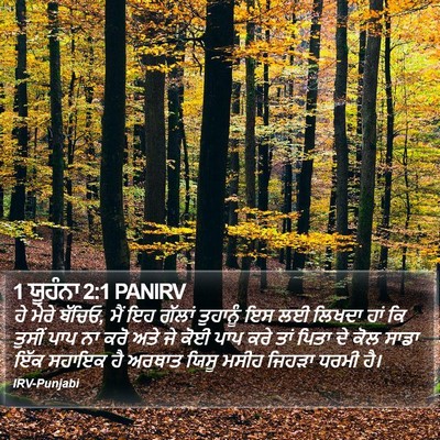 1 ਯੂਹੰਨਾ 2:1 PANIRV Bible Verse Image