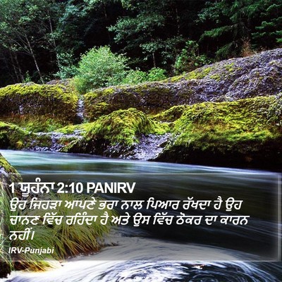 1 ਯੂਹੰਨਾ 2:10 PANIRV Bible Verse Image
