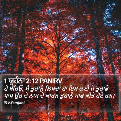 1 ਯੂਹੰਨਾ 2:12 PANIRV Bible Verse Image