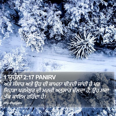 1 ਯੂਹੰਨਾ 2:17 PANIRV Bible Verse Image