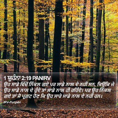 1 ਯੂਹੰਨਾ 2:19 PANIRV Bible Verse Image