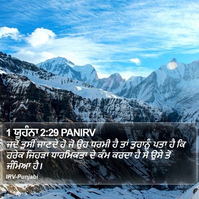1 ਯੂਹੰਨਾ 2:29 PANIRV Bible Verse Image