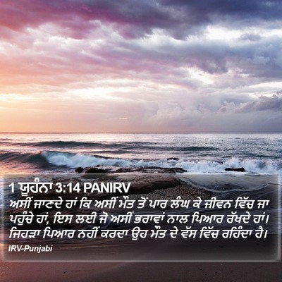 1 ਯੂਹੰਨਾ 3:14 PANIRV Bible Verse Image
