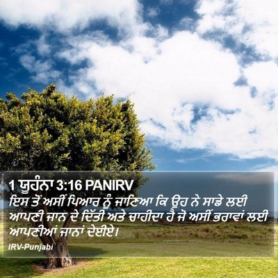 1 ਯੂਹੰਨਾ 3:16 PANIRV Bible Verse Image