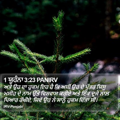 1 ਯੂਹੰਨਾ 3:23 PANIRV Bible Verse Image