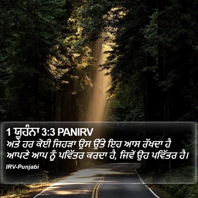 1 ਯੂਹੰਨਾ 3:3 PANIRV Bible Verse Image