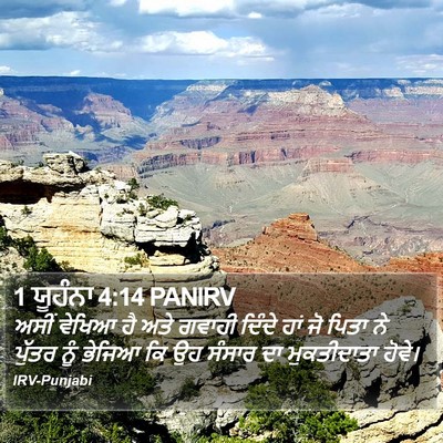 1 ਯੂਹੰਨਾ 4:14 PANIRV Bible Verse Image