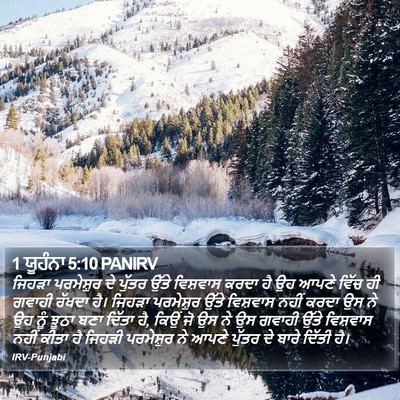 1 ਯੂਹੰਨਾ 5:10 PANIRV Bible Verse Image