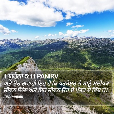 1 ਯੂਹੰਨਾ 5:11 PANIRV Bible Verse Image