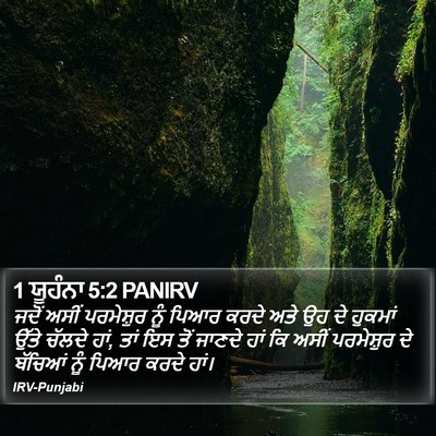 1 ਯੂਹੰਨਾ 5:2 PANIRV Bible Verse Image