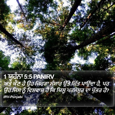 1 ਯੂਹੰਨਾ 5:5 PANIRV Bible Verse Image