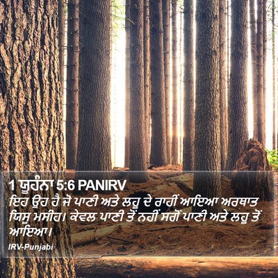 1 ਯੂਹੰਨਾ 5:6 PANIRV Bible Verse Image