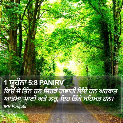 1 ਯੂਹੰਨਾ 5:8 PANIRV Bible Verse Image