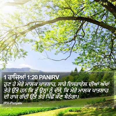 1 ਰਾਜਿਆਂ 1:20 PANIRV Bible Verse Image