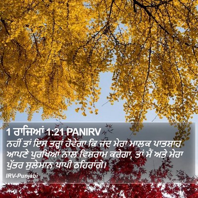 1 ਰਾਜਿਆਂ 1:21 PANIRV Bible Verse Image