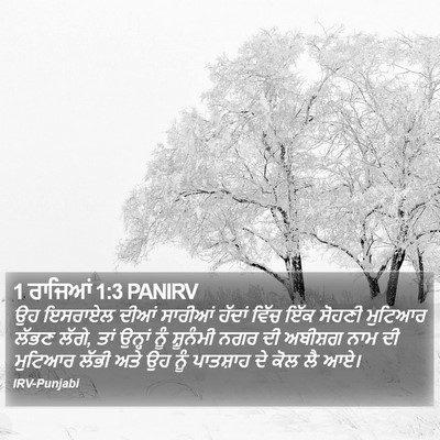 1 ਰਾਜਿਆਂ 1:3 PANIRV Bible Verse Image