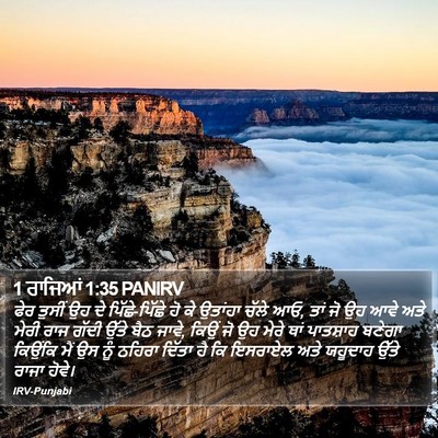 1 ਰਾਜਿਆਂ 1:35 PANIRV Bible Verse Image