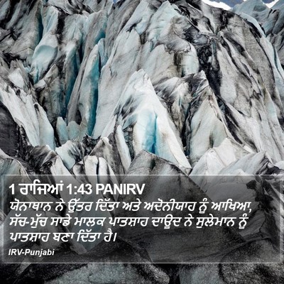 1 ਰਾਜਿਆਂ 1:43 PANIRV Bible Verse Image