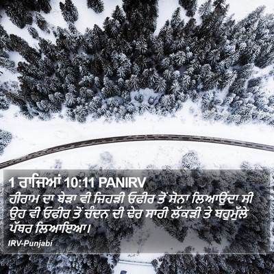 1 ਰਾਜਿਆਂ 10:11 PANIRV Bible Verse Image