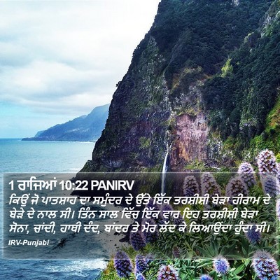 1 ਰਾਜਿਆਂ 10:22 PANIRV Bible Verse Image