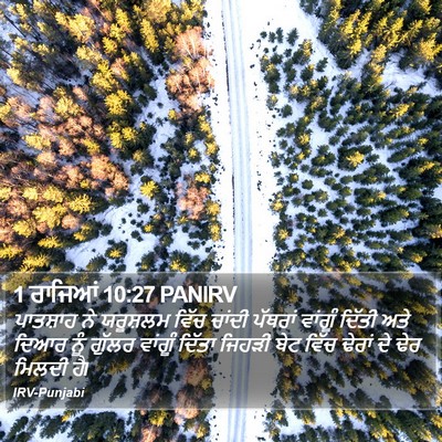 1 ਰਾਜਿਆਂ 10:27 PANIRV Bible Verse Image